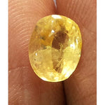 Load image into Gallery viewer, 1.88 Ratti yellow sapphire with Govt Lab Certificate-(YELSA9V)