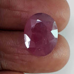 Load image into Gallery viewer, 9.02 Ratti Natural New Burma Ruby with Govt Lab Certificate-(101880)