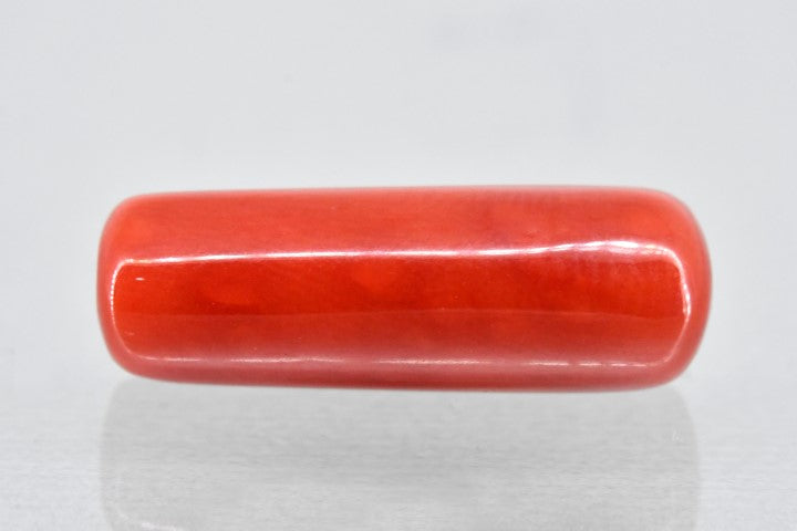 8.79/Carat Natural Cylindrical Red Coral (1800)