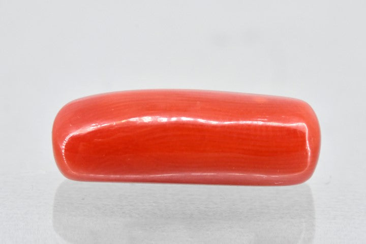 8.78/Carat Natural Cylindrical Red Coral (1800)
