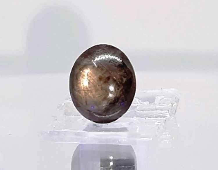 6.84/CT Star Sapphire with Govt. Lab Certificate-(5661)