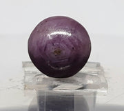 10.72 Ratti Star Sapphire with Govt. Lab Certificate-(5661)