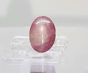 2.55/CT Star Sapphire with Govt. Lab Certificate-(5661)