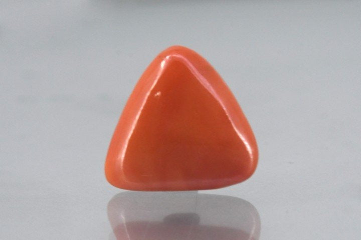 20.09/CT Natural Triangular Red Coral-3650
