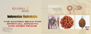 Indonesian Rudraksha – The Sacred Bead for Spiritual Growth and Inner Peace