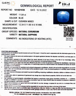 Load image into Gallery viewer, 11.84/CT Natural Ceylonese Neelam with Govt Lab Certified (4551)
