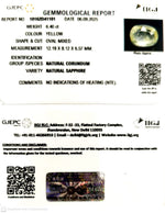 Load image into Gallery viewer, 6.40/CT Natural Yellow Sapphire With Govt Lab Certificate (34410)
