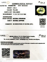5.50/CT Natural Yellow Sapphire With Govt Lab Certificate (23310)