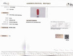 Load image into Gallery viewer, 8.24/Carat Natural Cylindrical Red Coral (1800)
