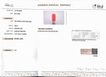 Load image into Gallery viewer, 9.89/Carat Natural Cylindrical Red Coral (1800)
