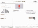 Load image into Gallery viewer, 10.99/Carat Natural Cylindrical Red Coral (1800)
