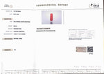 Load image into Gallery viewer, 8.02/Carat Natural Cylindrical Red Coral (1800)
