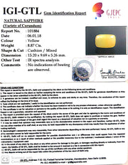 9.86 Ratti Natural Yellow Sapphire with Govt Lab Certificate-(2331)