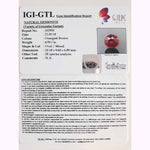 Load image into Gallery viewer, 5.50 Ratti Gomed with Govt. Lab Certificate-(1100)

