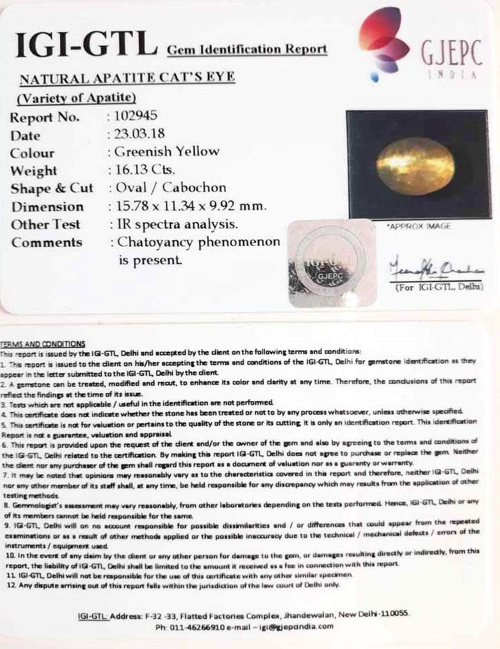 16.13/CT Natural Apatite Cat's Eye With Govt. Lab Certificate-102945