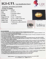 Load image into Gallery viewer, 12.04/CT Natural Apatite Cat's Eye With Govt. Lab Certificate-102947
