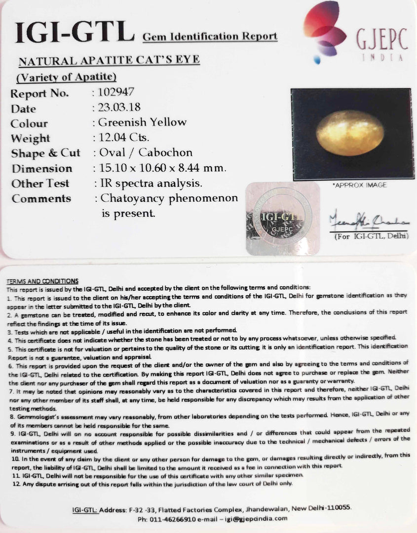12.04/CT Natural Apatite Cat's Eye With Govt. Lab Certificate-102947