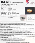 Load image into Gallery viewer, 9.74/CT Natural Apatite Cat's Eye With Govt. Lab Certificate-103045
