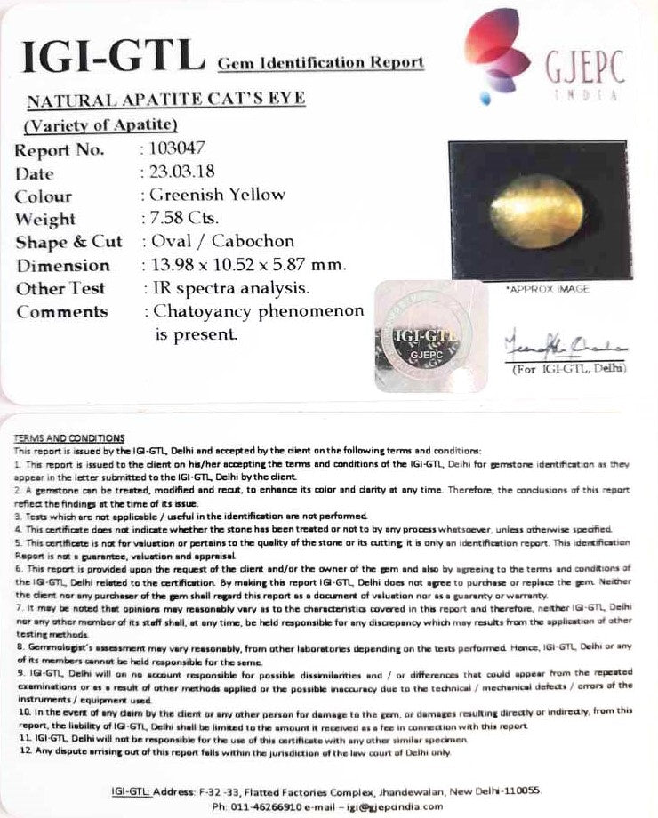 7.58/CT Natural Apatite Cat's Eye With Govt. Lab Certificate-103047