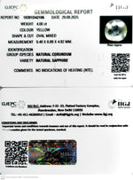 Load image into Gallery viewer, 4.00/CT Natural Yellow Sapphire With Govt Lab Certificate (8991)
