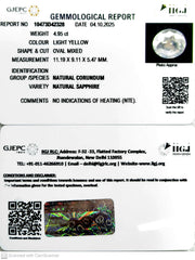 4.95/CT Natural Yellow Sapphire With Govt Lab Certificate (34410)