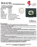 Load image into Gallery viewer, 6.48/CT Natural Ceylonese Pukhraj with Govt Lab Certificate-67710
