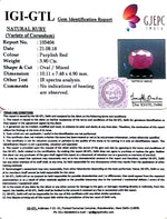 Load image into Gallery viewer, 4.33 Ratti Natural New Burma Ruby with Govt. Lab Certificate

