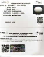 Load image into Gallery viewer, 8.55/CT White Coral with Govt. Lab Certified - 10617D42917