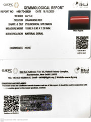 8.21/CT Natural Red Coral With Govt. Lab Certificate (1800)