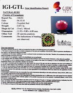 Load image into Gallery viewer, 5.59 Ratti Natural Neo Burma Ruby with Govt Lab Certificate-(3441)
