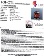 Load image into Gallery viewer, 8.97 Ratti Natural Hessonite with Govt. Lab Certificate-(1221)
