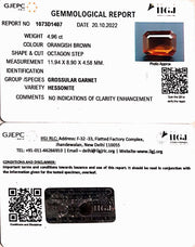 5.50/CT Natural Govt. Lab Certified Ceylonese Gomed-(1221)