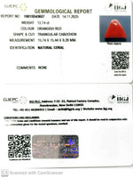 Load image into Gallery viewer, 12.74/CT Natural Red Coral With Govt. Lab Certificate-10815D43657