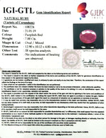 Load image into Gallery viewer, 7.83 Ratti Natural New Burma Ruby with Govt Lab Certificate-(3441)
