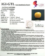 Load image into Gallery viewer, 11.33 Ratti Natural Yellow Sapphire with Govt Lab Certificate-(1221)
