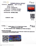 Load image into Gallery viewer, 8.12/CT Natural Red Coral With Govt. Lab Certificate-10833D43737
