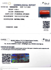 6.58/CT Natural Red Coral With Govt. Lab Certificate-10833D43739