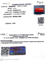Load image into Gallery viewer, 5.72/CT Natural Red Coral With Govt. Lab Certificate-10833D43743