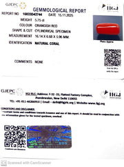 5.75/CT Natural Red Coral With Govt. Lab Certificate-10833D43744