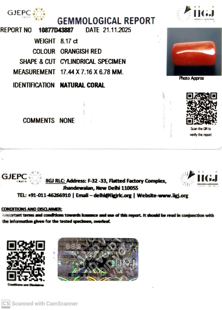 8.17/CT Natural Red Coral With Govt. Lab Certificate-10877D43887