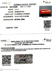 7.61/CT Natural Red Coral With Govt. Lab Certificate-10877D43888