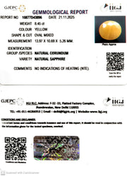 8.45/CT Natural Yellow Sapphire With Govt Lab Certificate (2331)