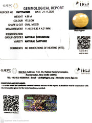 4.88/CT Natural Yellow Sapphire With Govt Lab Certificate (2331)