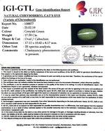 Load image into Gallery viewer, 19.32 Ratti Natural Chrysoberyl Cat&#39;s Eye With Govt. Lab Certificate-(6771)
