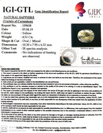 Load image into Gallery viewer, 4.51/CT Natural Yellow Sapphire With Govt Lab Certificate-YELSA9U
