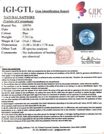 Load image into Gallery viewer, 7.70/CT Natural Neelam with Govt Lab Certificate-BLUSA9S
