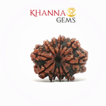 Load image into Gallery viewer, 10 MUKHI NEPALI RUDRAKSHA