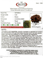 Load image into Gallery viewer, 10 MUKHI NEPALI RUDRAKSHA