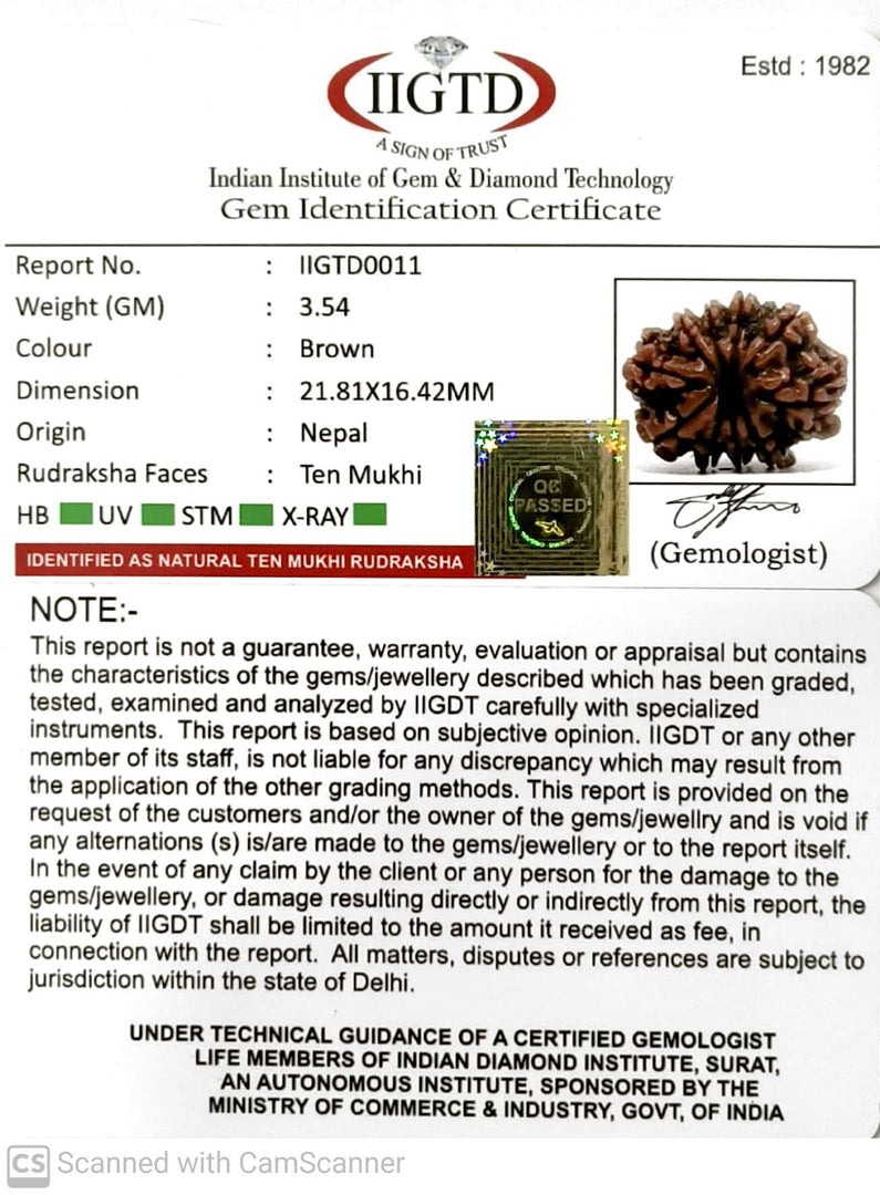 10 MUKHI NEPALI RUDRAKSHA