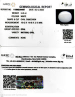 Load image into Gallery viewer, 5.44/CT Natural Opal with Govt. Lab Certificate-11006D44497